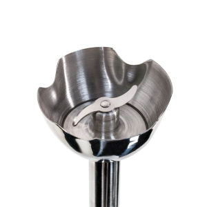 Arnica Diva Çubuk Blender - 5