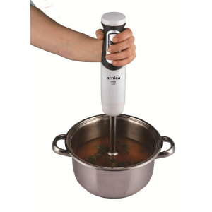 Arnica Diva Çubuk Blender - 6